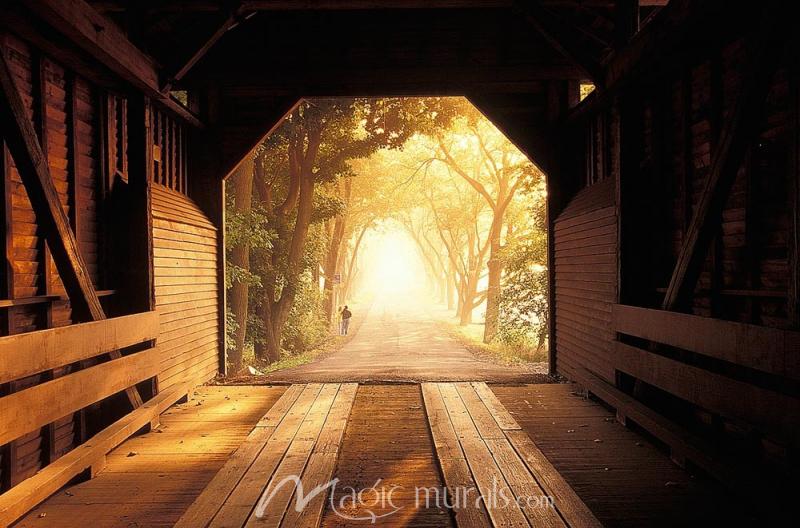 Covered Bridge in Virginia