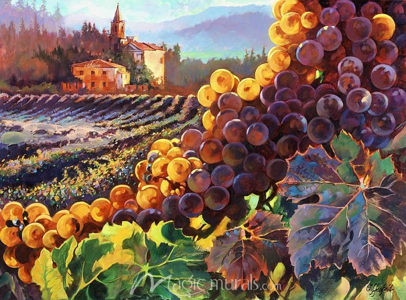 Tuscany Harvest