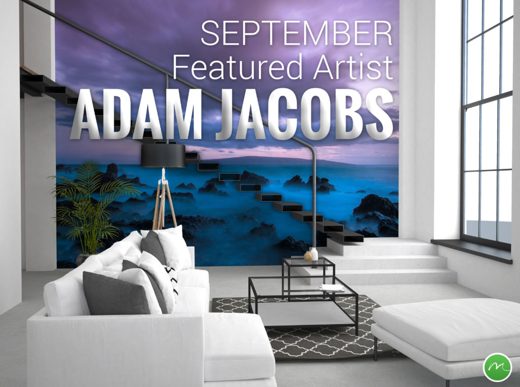 Explore City, Land, and Sea Murals with Adam Jacobs