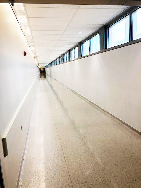 The ominous, alienating feel of the hospital corridor with blank walls.