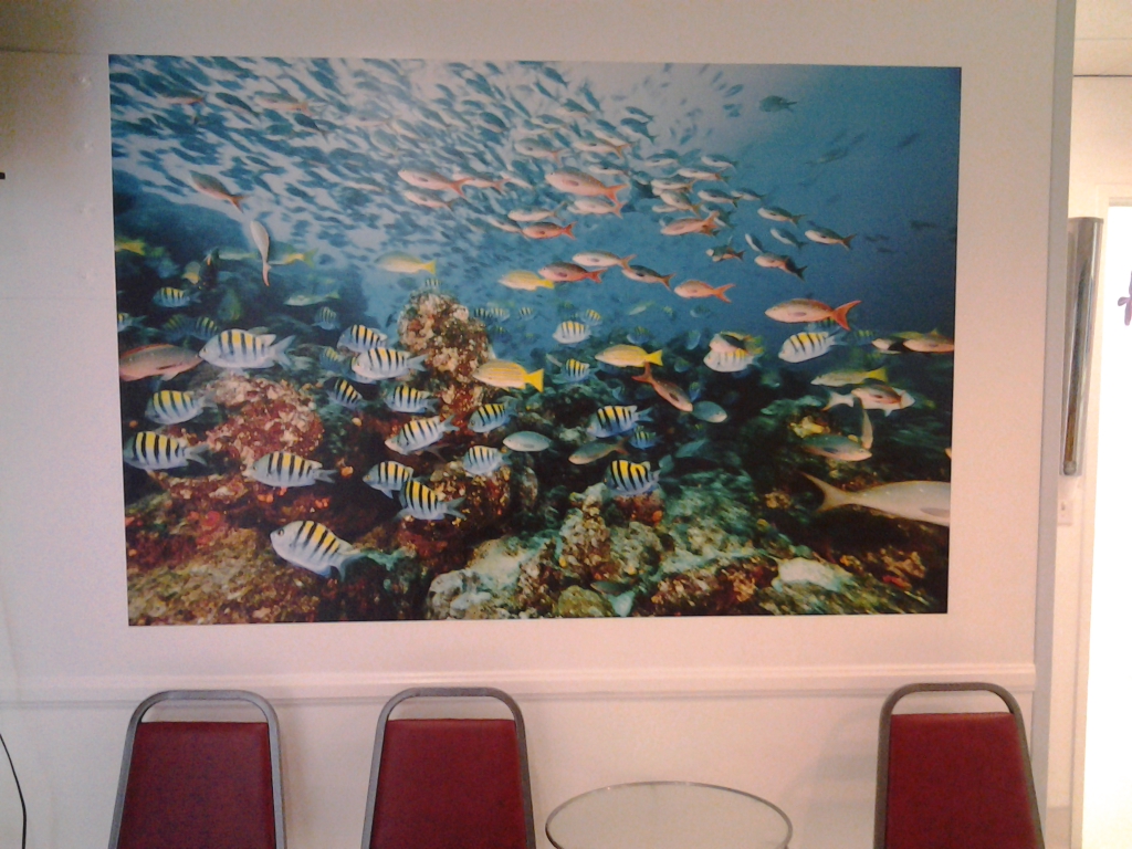 Colorful under the sea mural in waiting room.