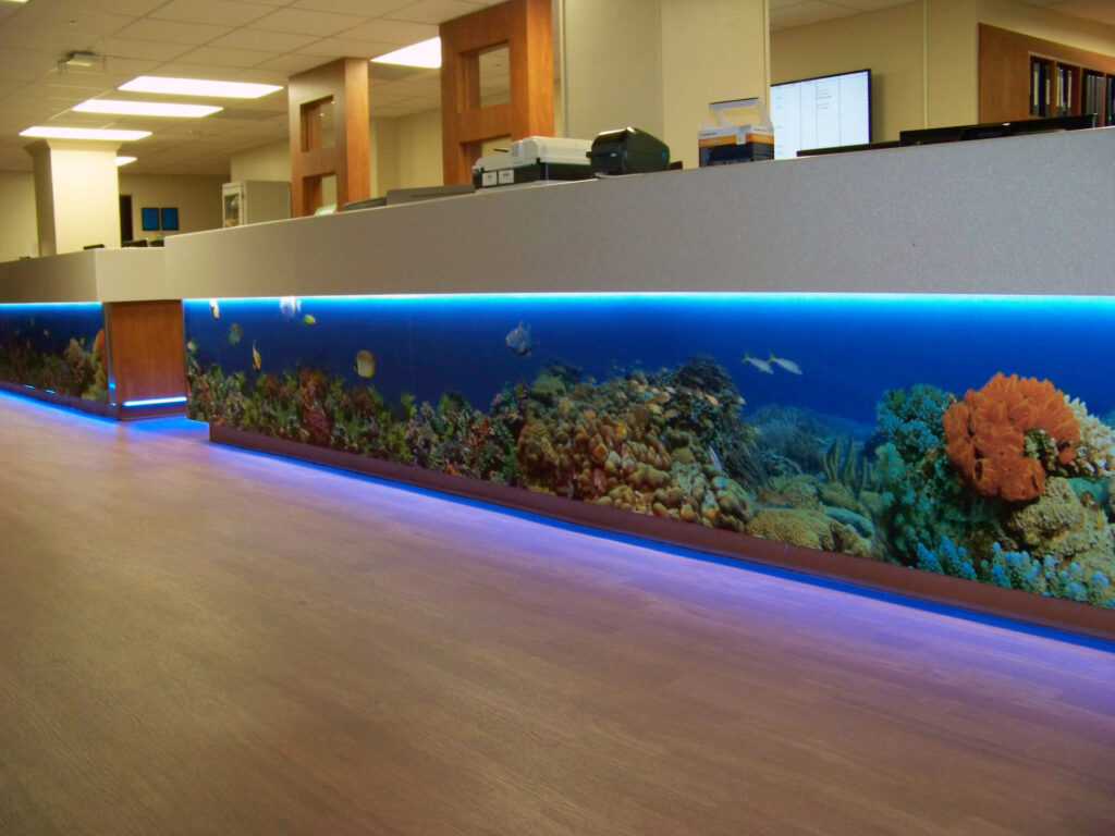 Accent lighting with a soothing blue glow simulates an aquarium, providing staff and patients with many of the same benefits of live fish for a fraction of the cost.