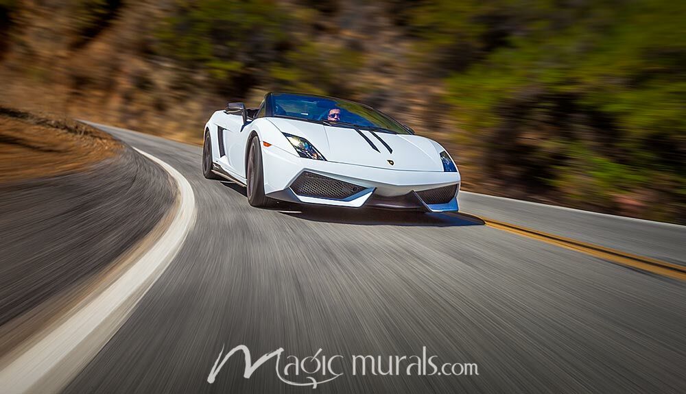 Lamborghini Gallardo, Hills Above Malibu Magic Murals