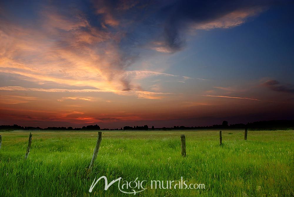 Peaceful Pasture Wallpaper Wall Mural by Magic Murals