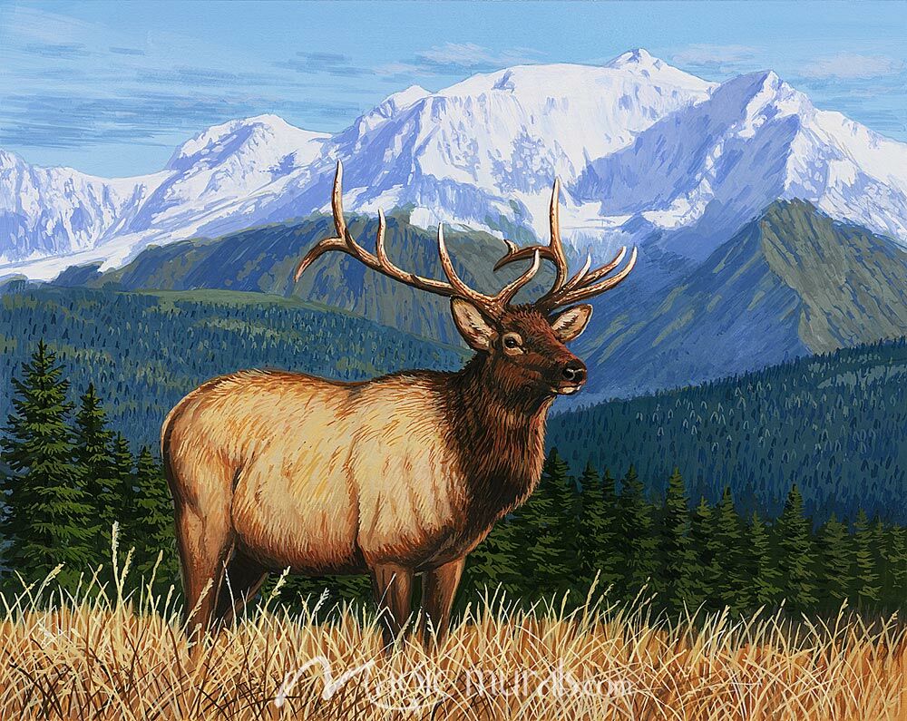 Elk Domain Wallpaper Wall Mural by Magic Murals