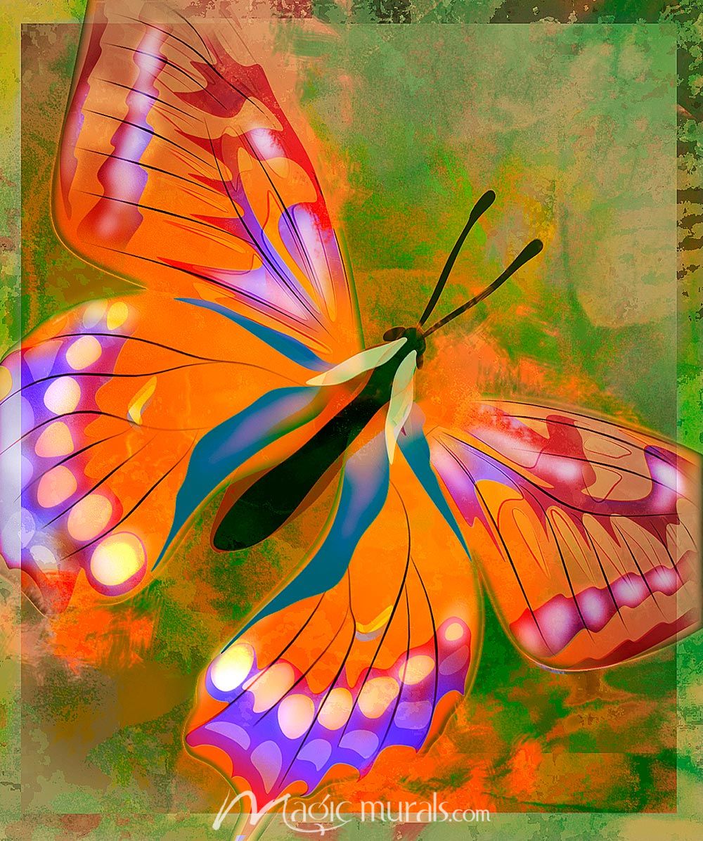 Colorful Butterfly Wallpaper Wall Mural by Magic Murals