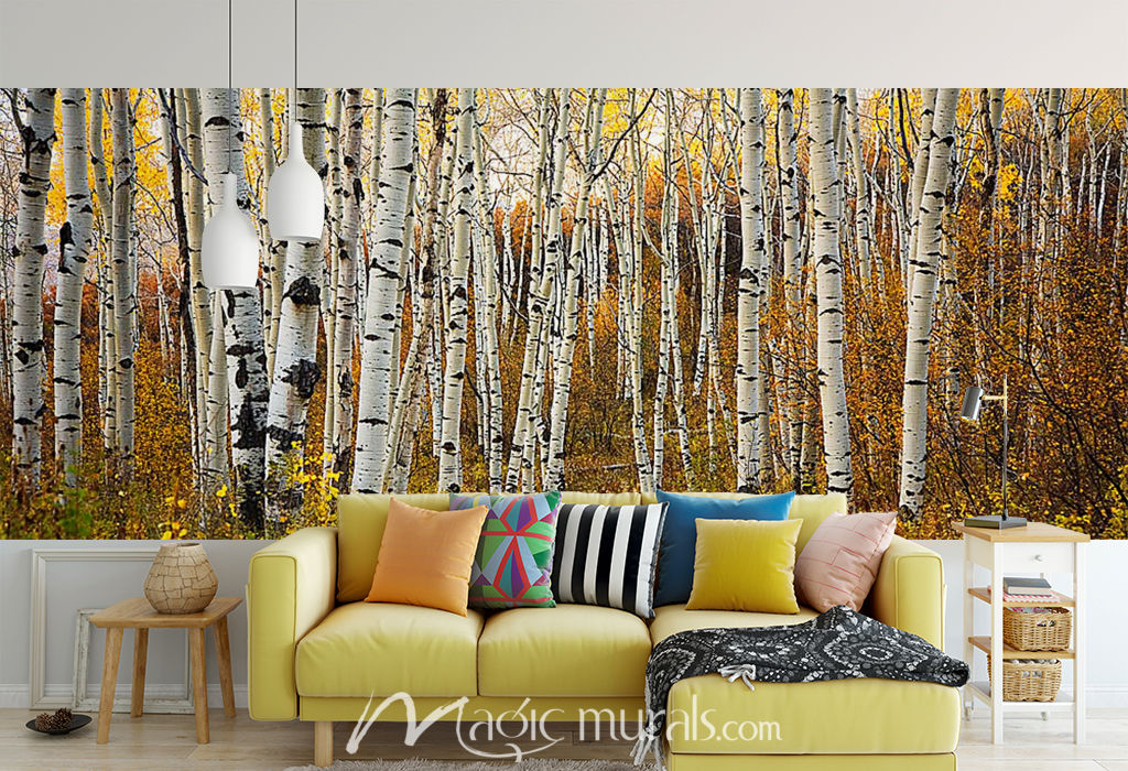 Aspen Tree Trunks In Grove Wallpaper Mural by Magic Murals