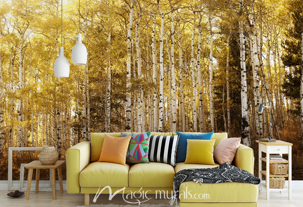 Warmly Lit Aspen Trees Wallpaper Mural by Magic Murals