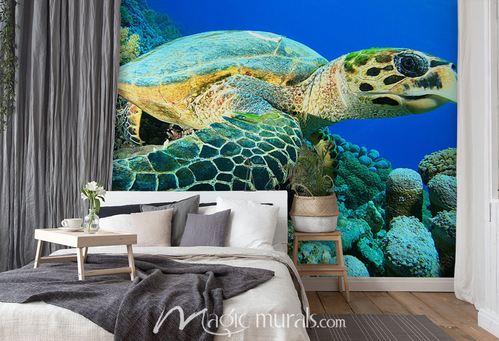 Turtle in Coral Wallpaper Wall Mural by Magic Murals