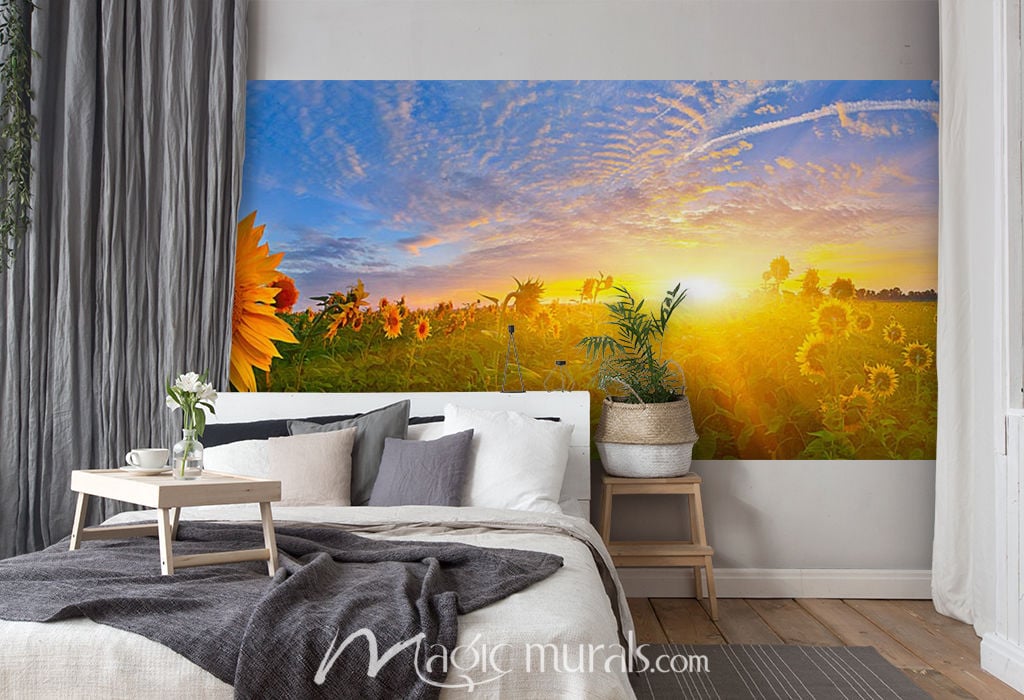 Sunflower Sunburst Wallpaper Wall Mural by Magic Murals