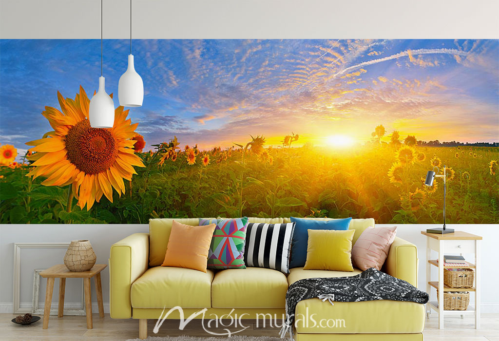 Sunflower Sunburst Wallpaper Wall Mural by Magic Murals