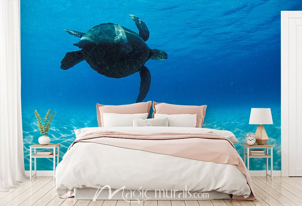 Keiki Turtle Wallpaper Wall Mural by Magic Murals