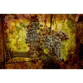 Vintage Grapes Wallpaper Wall Mural