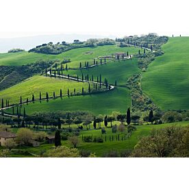 Green Hills of Tuscany Wallpaper Wall Mural