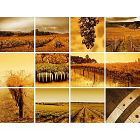 Collage of Wine Wallpaper Wall Mural