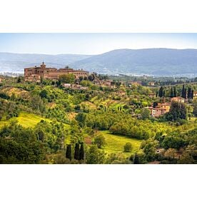 Tuscan Landscape with Cypress Trees Wallpaper Wall Mural