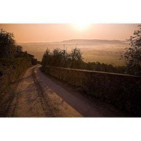 Deserted Road Wallpaper Wall Mural