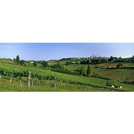 Tuscany  Italy Wallpaper Wall Mural