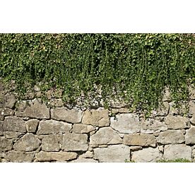 Stone Wall in Tuscany Wallpaper Wall Mural