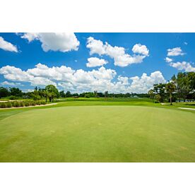 Cloudy Miami Golf Course