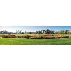 Autumn Golf Panorama