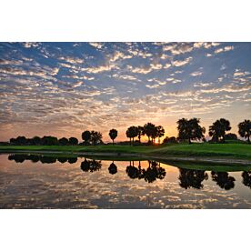 Florida Golf Sunrise