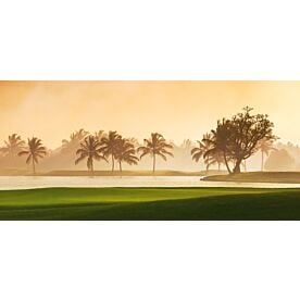 Caribbean Golf Morning Fog