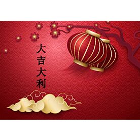 Chinese Lantern Wallpaper 2389 Wallpaper Wall Mural