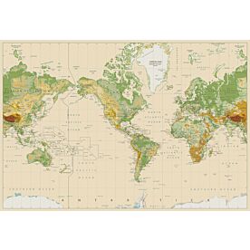 Vintage Style Physical World Map with Country Names Wallpaper Wall Mural