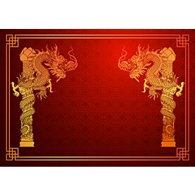 Double Dragon Wallpaper 4168 Wallpaper Wall Mural