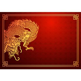 Crouching Dragon Wallpaper 0345 Wallpaper Wall Mural