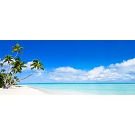 Mexican Beach Palms 1409 Wallpaper Wall Mural