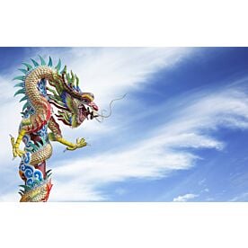 Chinese Dragon in Thailand Wallpaper Wall Mural