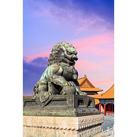 Forbidden City with Bronze Lion 8184 Wallpaper Wall Mural