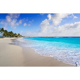 Cozumel Island Beach 3147 Wallpaper Wall Mural