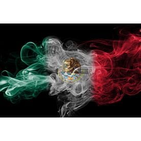 Mexican Flag via Smoke 1903 Wallpaper Wall Mural