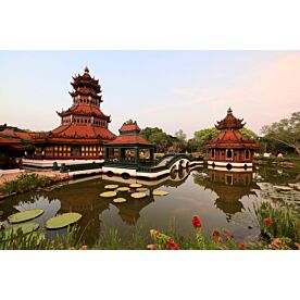 Bangkok Thailand Water Lily Garden Pagodas 7499 Wallpaper Wall Mural