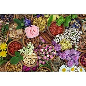 Chinese Herbal Medicine 1782 Wallpaper Wall Mural