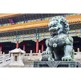 Guardian Lion at Forbidden City 7917 Wallpaper Wall Mural