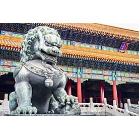 Guardian Lion at Forbidden City 7945 Wallpaper Wall Mural