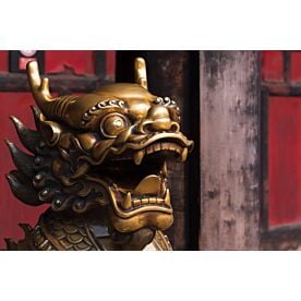 Bronze Dragon at Wenshu Monastery Chengdu Wallpaper Wall Mural