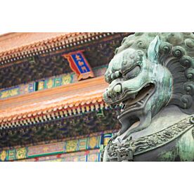 Guardian Lion at Forbidden City 0780 Wallpaper Wall Mural