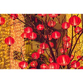 Chinese New Year Lanterns 2549 Wallpaper Wall Mural