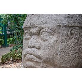 Olmec Head 7259 Wallpaper Wall Mural