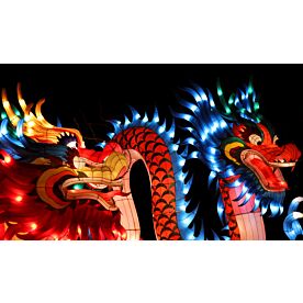 Chinese Dragon Lantern 5120 Wallpaper Wall Mural