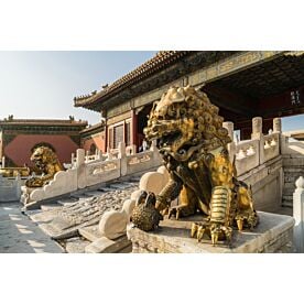 Guardian Lion at Forbidden City 9013 Wallpaper Wall Mural