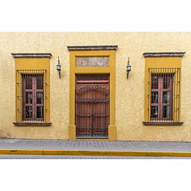 Doors of Jalisco 8345 Wallpaper Wall Mural