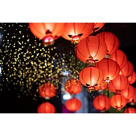 Chinese New Year Lanterns 3689 Wallpaper Wall Mural