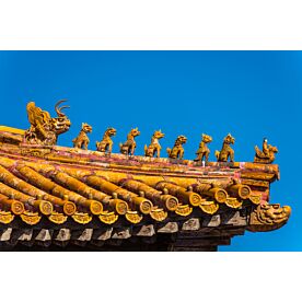 Imperial Palace Dragons 7160 Wallpaper Wall Mural