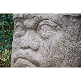 Olmec Head Tabasco 2978 Wallpaper Wall Mural